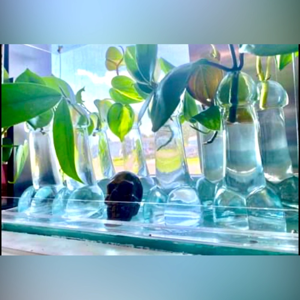 Hilarious holiday gift! Rooted plant with a comical propagation station.